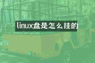 linux盘是怎么挂的