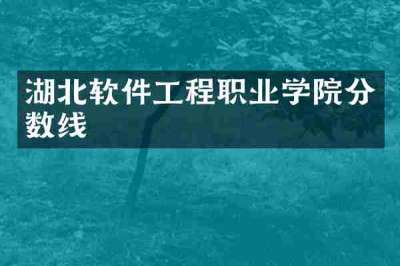 湖北软件工程职业学院分数线