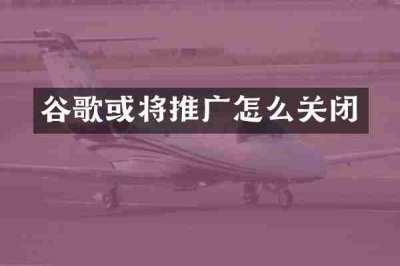 谷歌或将推广怎么关闭