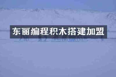东丽编程积木搭建加盟