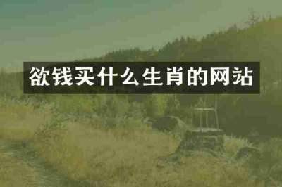 欲钱买什么生肖的网站