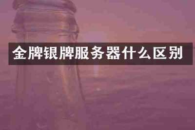 金牌银牌服务器什么区别