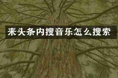 来头条内搜音乐怎么搜索