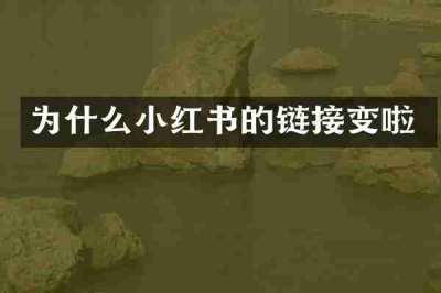 为什么小红书的链接变啦