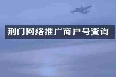 荆门网络推广商户号查询