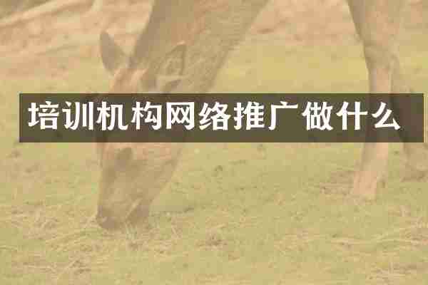 培训机构网络推广做什么