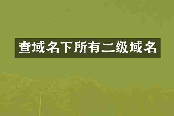查域名下所有二级域名