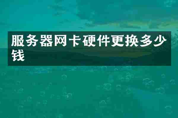 服务器网卡硬件更换多少钱