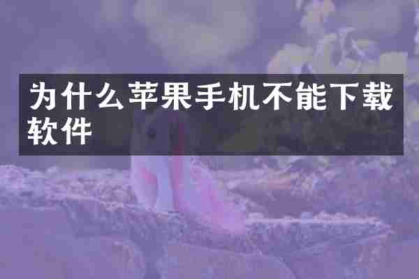 为什么苹果手机不能下载软件