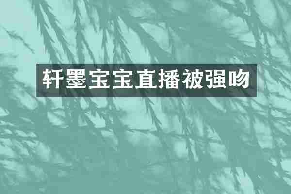 轩墨宝宝直播被强吻