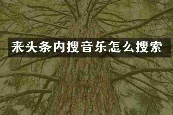 来头条内搜音乐怎么搜索