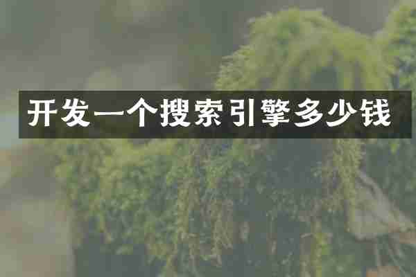 开发一个搜索引擎多少钱