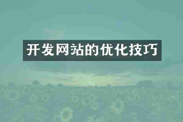 开发网站的优化技巧