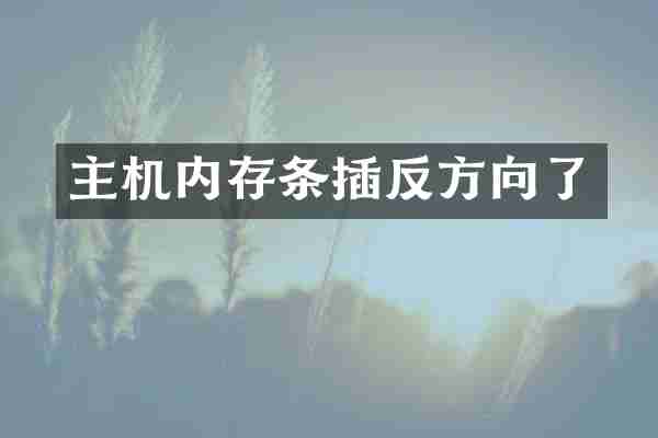 主机内存条插反方向了