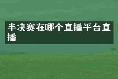 半决赛在哪个直播平台直播