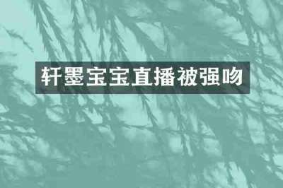 轩墨宝宝直播被强吻