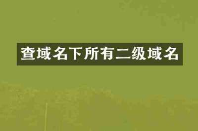 查域名下所有二级域名