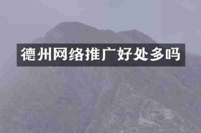 德州网络推广好处多吗