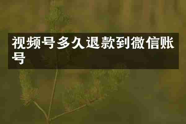 视频号多久退款到微信账号