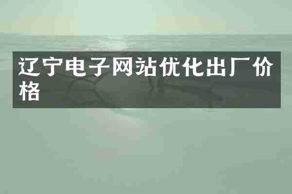 辽宁电子网站优化出厂价格