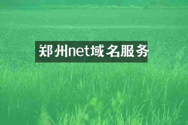 郑州net域名服务