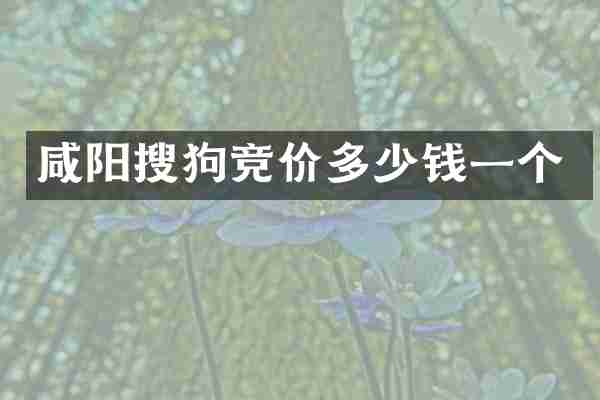 咸阳搜狗竞价多少钱一个