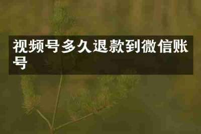 视频号多久退款到微信账号