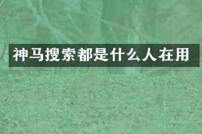 神马搜索都是什么人在用