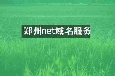 郑州net域名服务