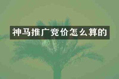 神马推广竞价怎么算的