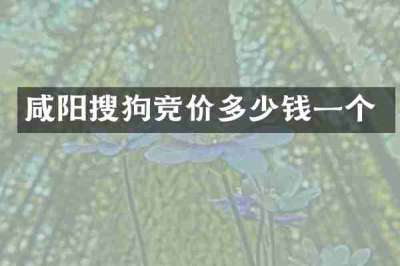 咸阳搜狗竞价多少钱一个
