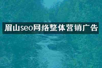 眉山seo网络整体营销广告