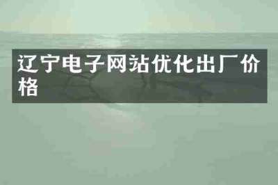 辽宁电子网站优化出厂价格