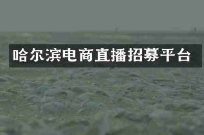 哈尔滨电商直播招募平台