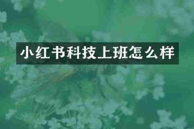 小红书科技上班怎么样