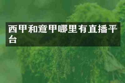 西甲和意甲哪里有直播平台