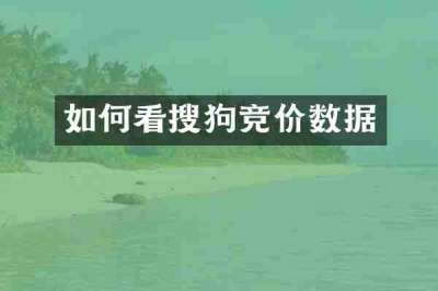 如何看搜狗竞价数据