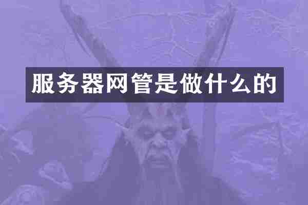 服务器网管是做什么的