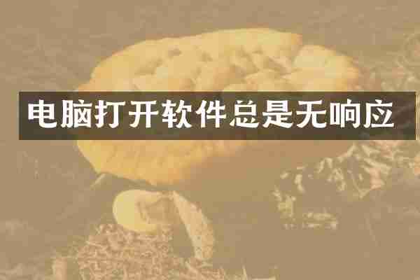 电脑打开软件总是无响应