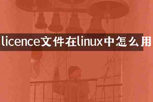 licence文件在linux中怎么用