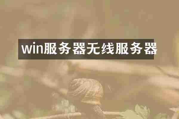 win服务器无线服务器