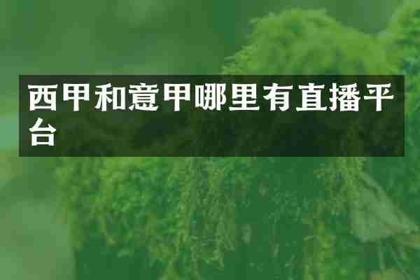 西甲和意甲哪里有直播平台