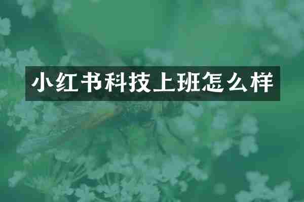 小红书科技上班怎么样