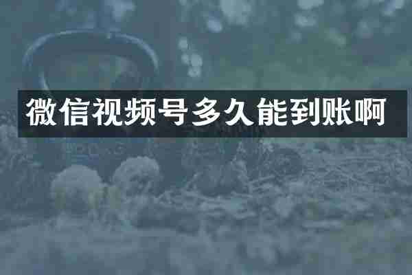 微信视频号多久能到账啊