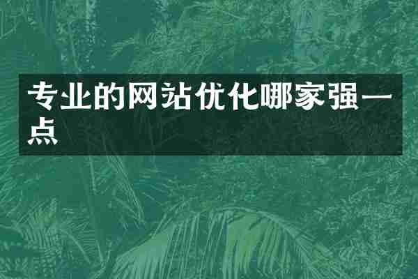 专业的网站优化哪家强一点