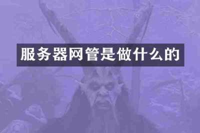 服务器网管是做什么的