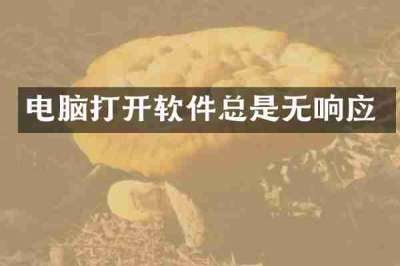 电脑打开软件总是无响应