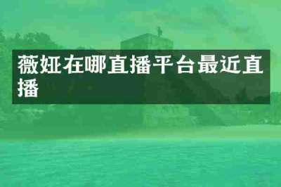 薇娅在哪直播平台最近直播
