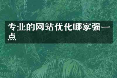 专业的网站优化哪家强一点