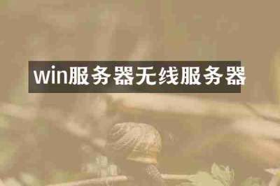 win服务器无线服务器